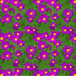 Lilies and Shamrocks seamless pattern