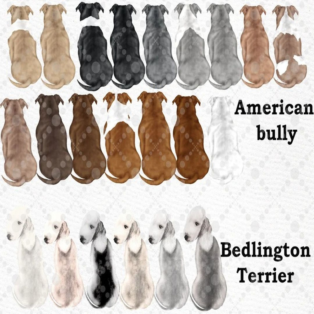 1080x1080 size il_794xN.3579362822_6x4g.jpg