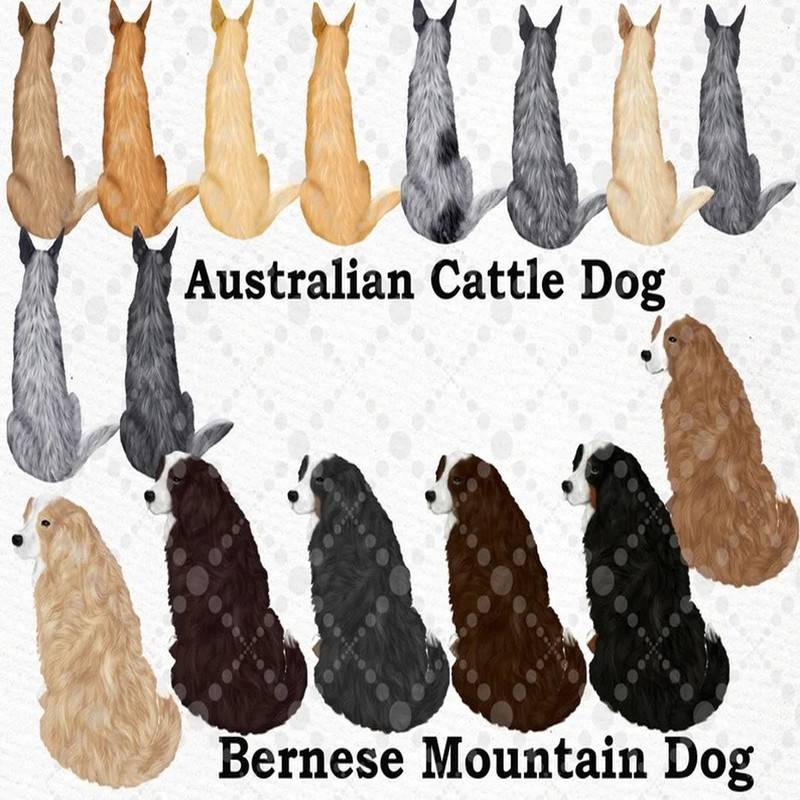 1080x1080 size il_794xN.3579362922_5646.jpg