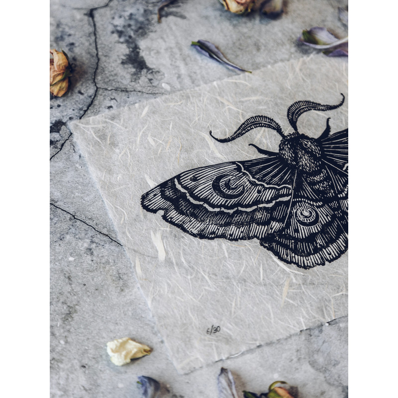 linocut print night moth-5.jpg