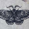 linocut print night moth-8.jpg