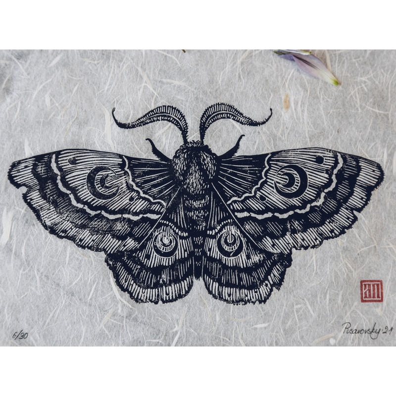 linocut print night moth-8.jpg