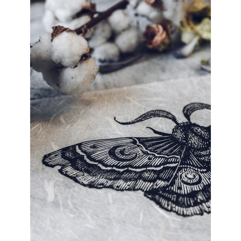 linocut print night moth-9.jpg