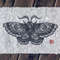 linocut print night moth.jpg