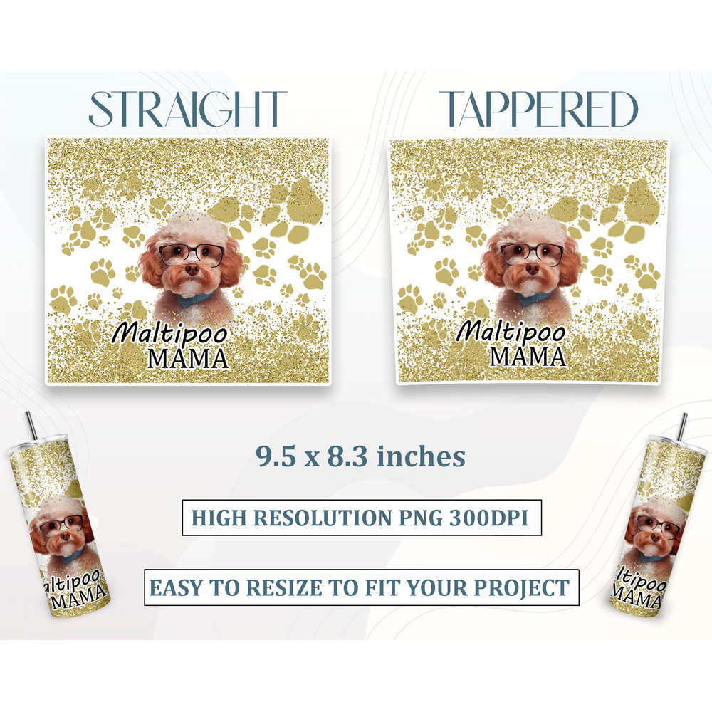 024_Maltipoo_Tappered and Straight .png
