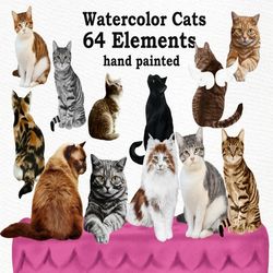 Cat Clipart: "WATERCOLOR CATS" Cat breeds Pet clipart Kitten clipart Cat for mug Cat graphics Cat Bundle Cat Illustratio