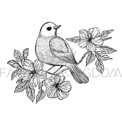 nightingale songbird on a branch vector illustration set