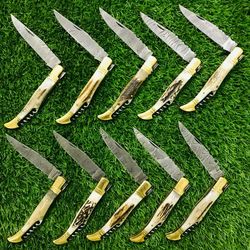 Pocket Knife, Survival knife, folding Knife, hunting knife, pocket knive, Handmade Knife, Handmade Damascus Steel Knife