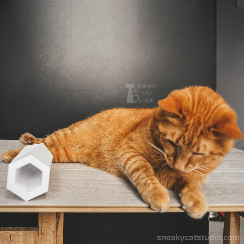 Vase-Planter-flowerpot-DIY-papercraft-paper-craft-low-poly-Pepakura-PDF-3D-Pattern-Template-Download- origami-sculpture-model-decor-flower-3.jpg
