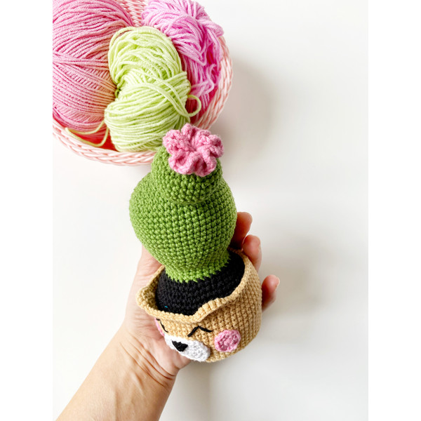 Crochet cactus PATTERN (5).jpg