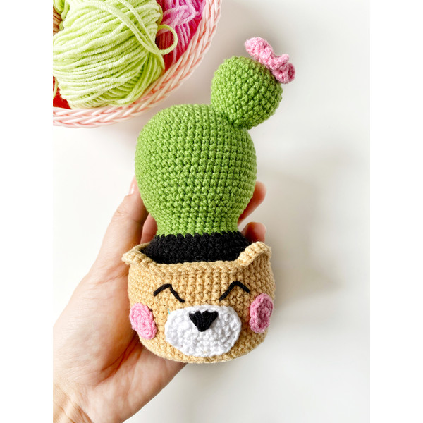 Crochet cactus PATTERN (6).jpg