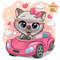 cute-kitty-on-a-car.jpg