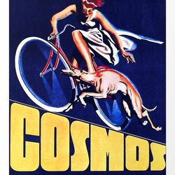 cosmos - cross stitch pattern counted vintage pdf - 111-99