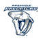 Nashville Predators9.jpg