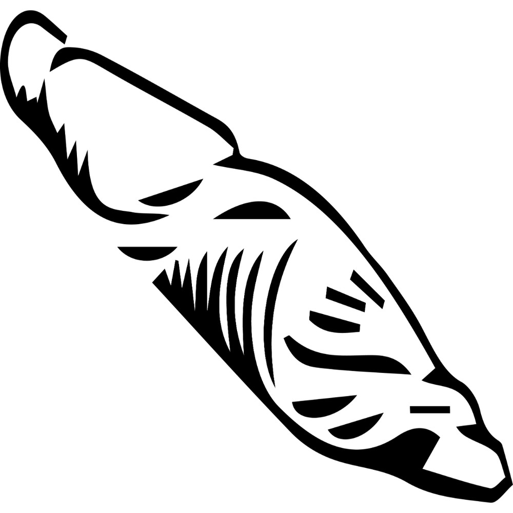 46.jpg