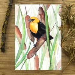 Bird painting, yellow head blackbird watercolor paintings, handmade bird watercolor painting by Anne Gorywine