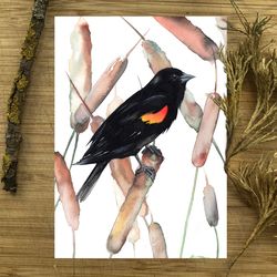 Bird painting, red winged blackbird watercolor paintings, handmade bird watercolor painting by Anne Gorywine
