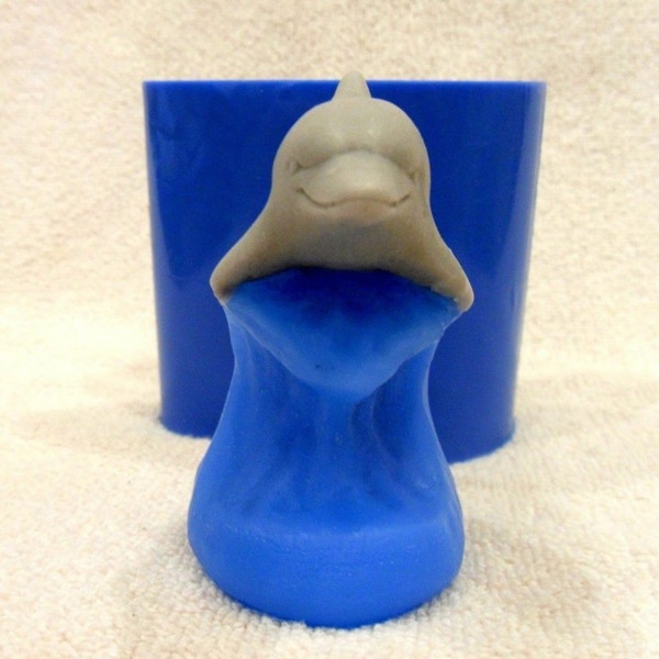 Dolphin on a wave soap front