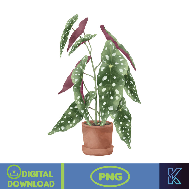 Encanto PNG, Encanto Digital Download, Poster, digital download, for nursery(156).jpg