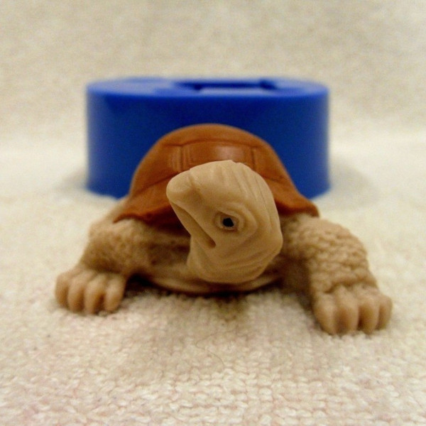 Tortoise soap front