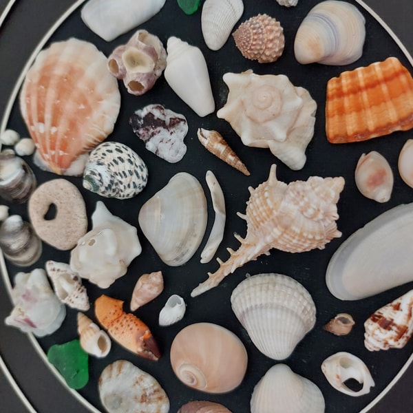 Round collage of seashells, sea glass and pebbles. Mosaic of - Inspire ...