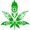 leaf2.jpg