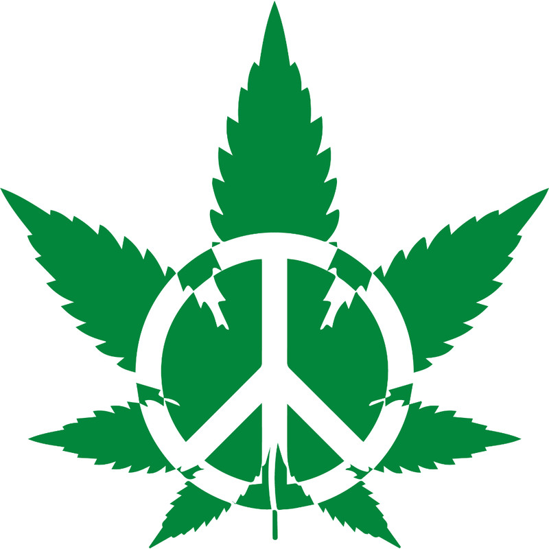 leaf31.jpg
