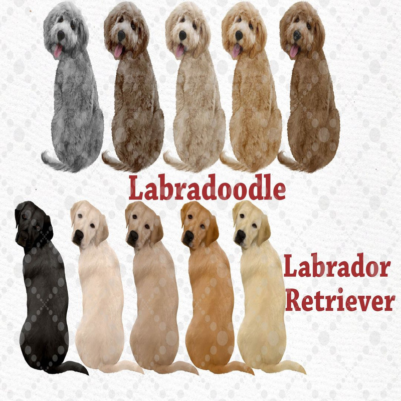 1080x1080 size il_fullxfull.2480628573_7g83.jpg