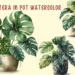 Monstera In Pot Watercolor