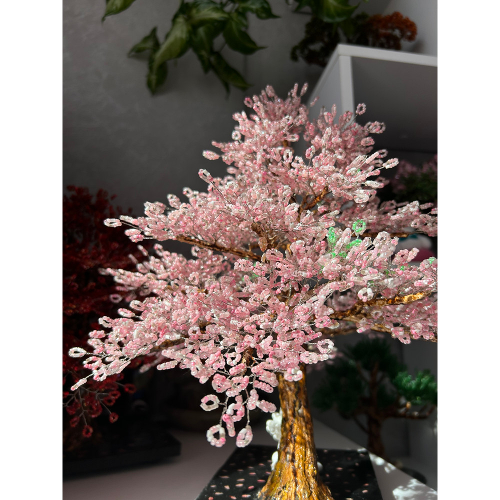 Cherry-blossom-in-light.jpeg
