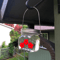 3portsbeautifulmasonhummingbirdfeeder4.png