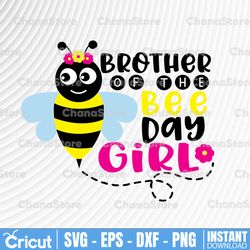 Brother Of The Bee Day Girl Svg Funny Bee theme Birthday Gifts for Girls, Family Matching Svg for girl's birthday