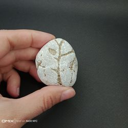 Unique carved stone, sea pebble with natural drawing, lucky stone,rare rock, pebble sea stone,engraved garden rock, pock