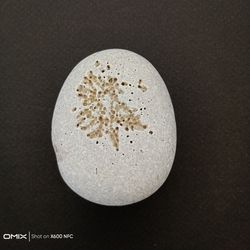 Unique carved stone, sea pebble with natural drawing, lucky stone,rare rock, pebble sea stone,engraved garden rock, pock