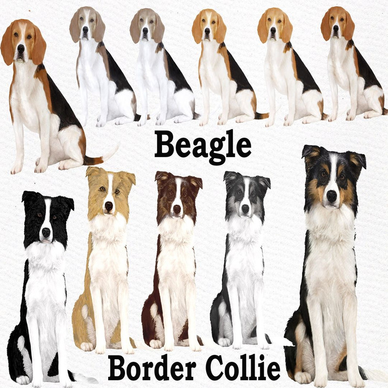 1080x1080 size il_fullxfull.2279770667_na37.jpg