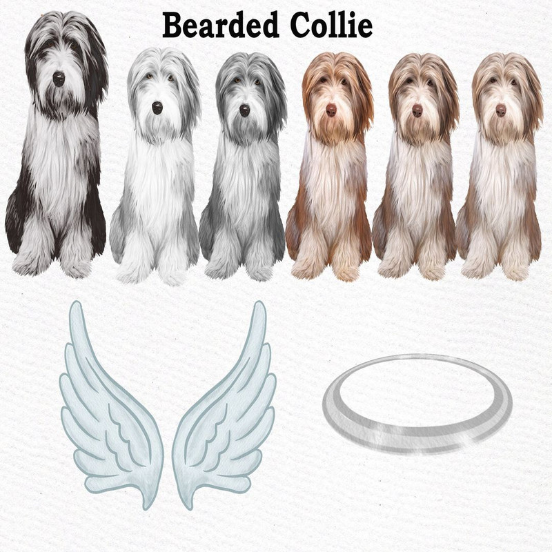 1080x1080 size il_fullxfull.2232177142_6qkw.jpg