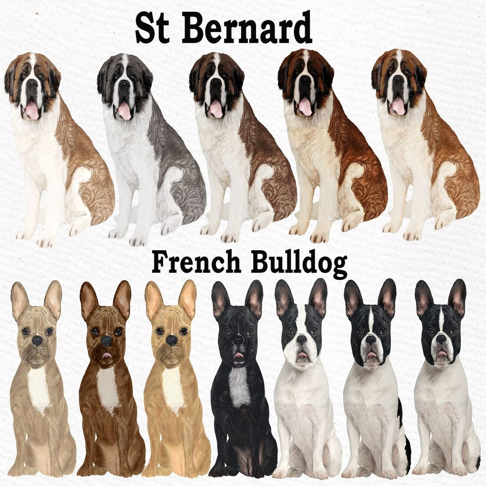 1080x1080 size il_fullxfull.2232177176_a40e.jpg