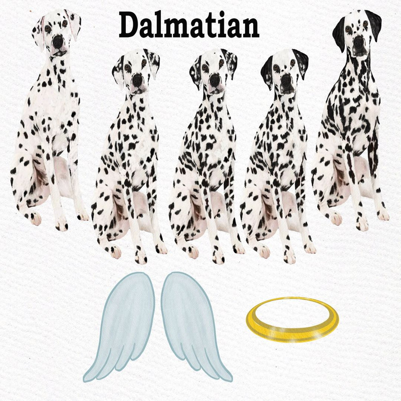 1080x1080 size il_fullxfull.2230949618_3xhb.jpg