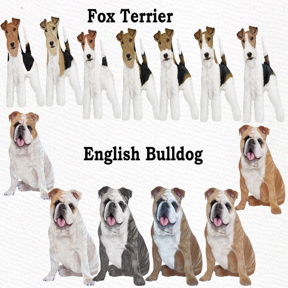 1080x1080 size il_fullxfull.2278540575_a6ve.jpg