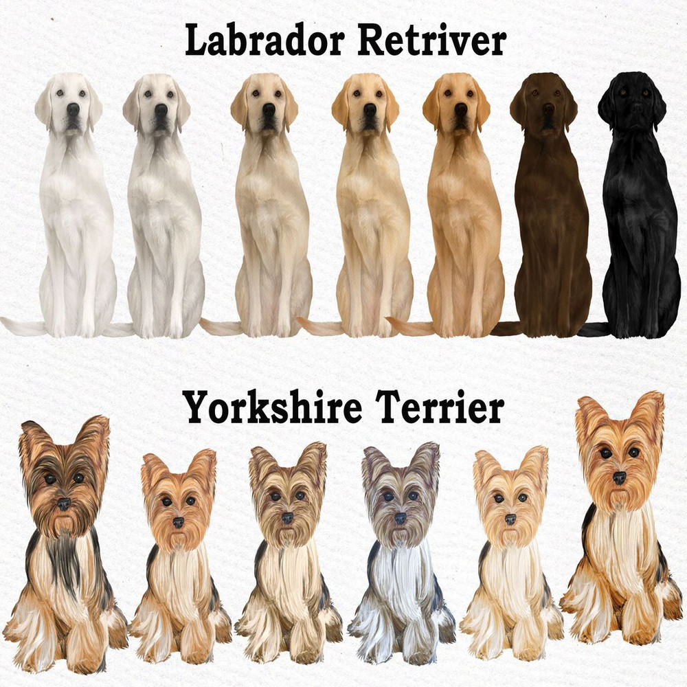 1080x1080 size il_fullxfull.2662406776_r3p5.jpg