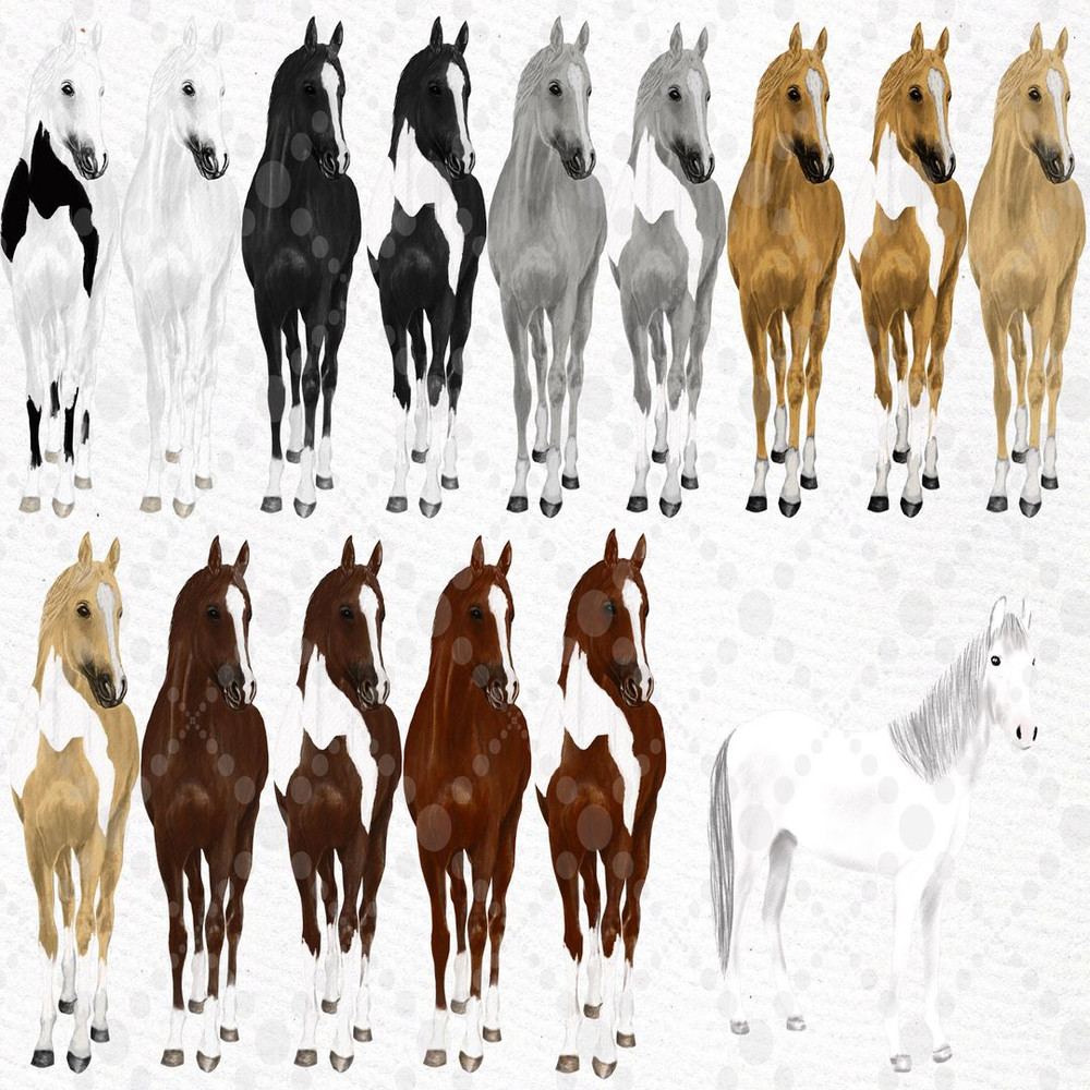 1080x1080 size il_fullxfull.2242398623_5nx4.jpg