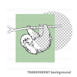 Linear drawing of Sloth Png file Sublimation design Clipart