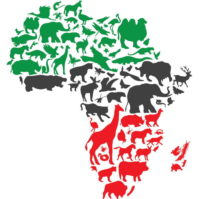 AFRICA ANIMALS COLOR.jpg