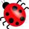 Ladybug 3.png