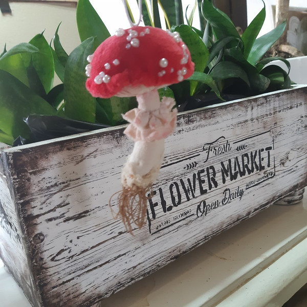 Amanita textile mushroom