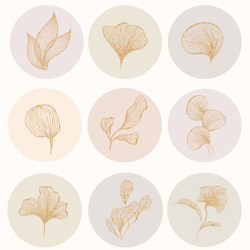 12 flowers botanical instagram story icons. aesthetic highlight instagram. instagram highlight. digital download