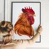 brown-rooster-watercolor-art-print.jpg
