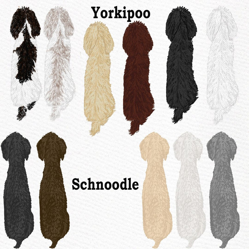 1080x1080 size il_fullxfull.2012098618_zyib.jpg