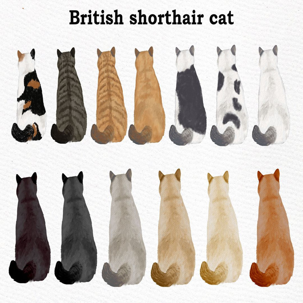 1080x1080 size il_fullxfull.2043952905_gs2s.jpg