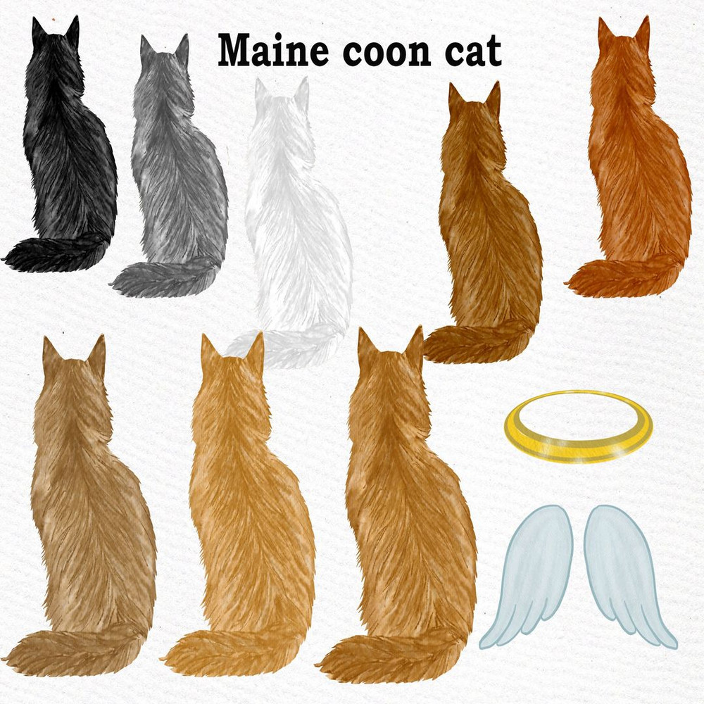 1080x1080 size il_fullxfull.2246235459_te40.jpg